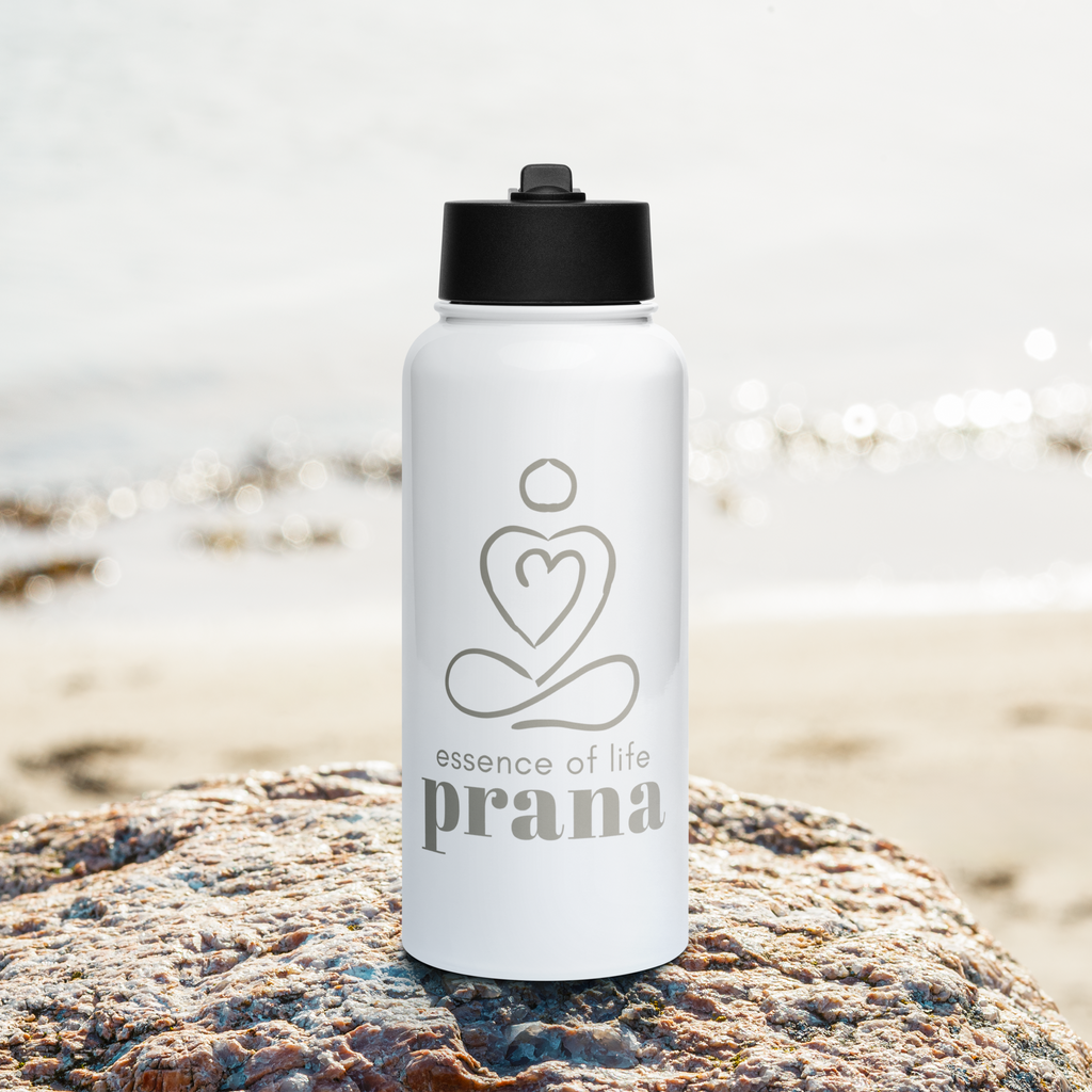 Stainless steel water bottle with a straw lid : Prana
