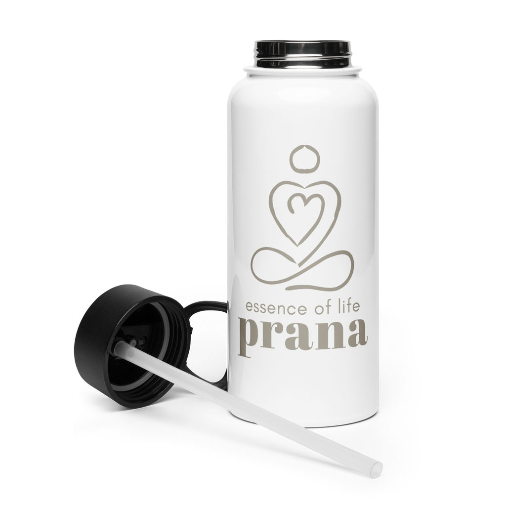 Stainless steel water bottle with a straw lid : Prana